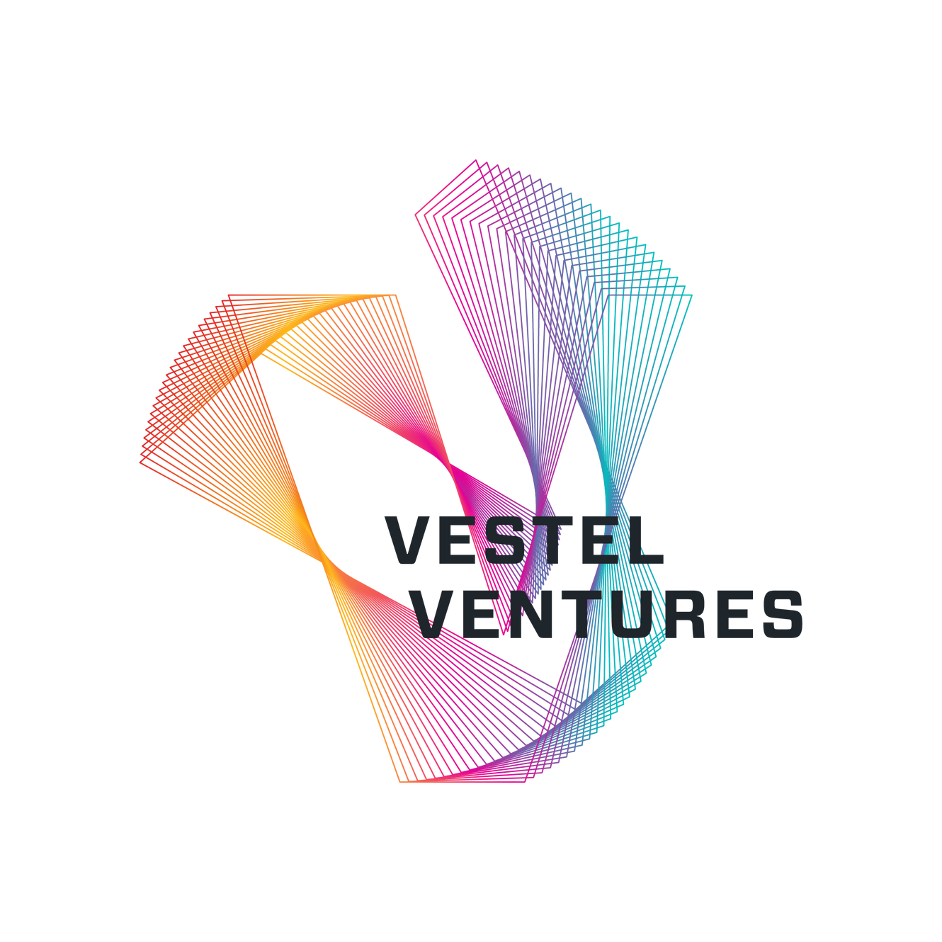 Vestel Ventures